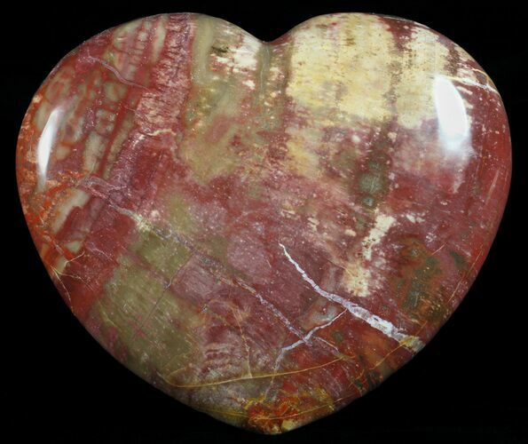 Colorful, Polished Petrified Wood Heart - Triassic #58544